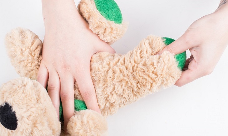 Sấy khô thú nhồi bông