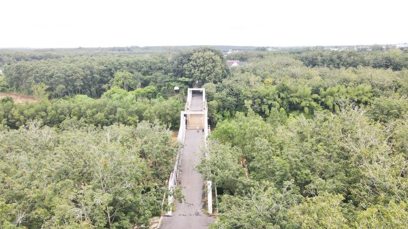 Di tích lịch sử Cầu Sông Bé