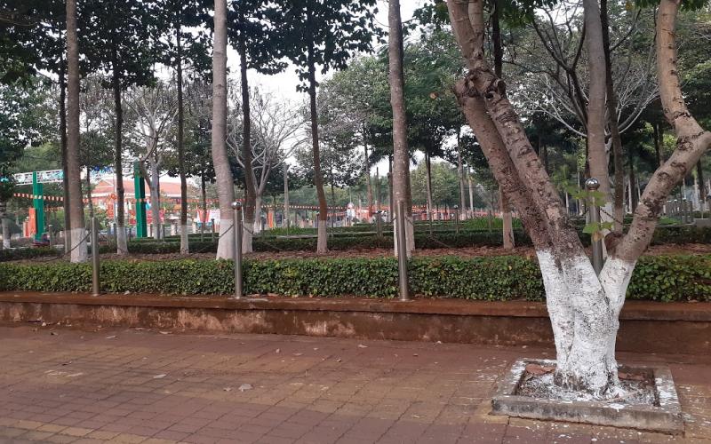 Công viên Bù Đốp