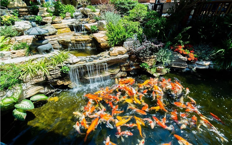 Trầm Koi Garden Coffee