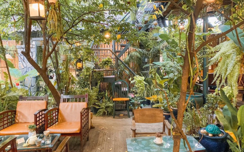 Cú Trên Cây là một quán cà phê mang phong cách Đà Lạt
