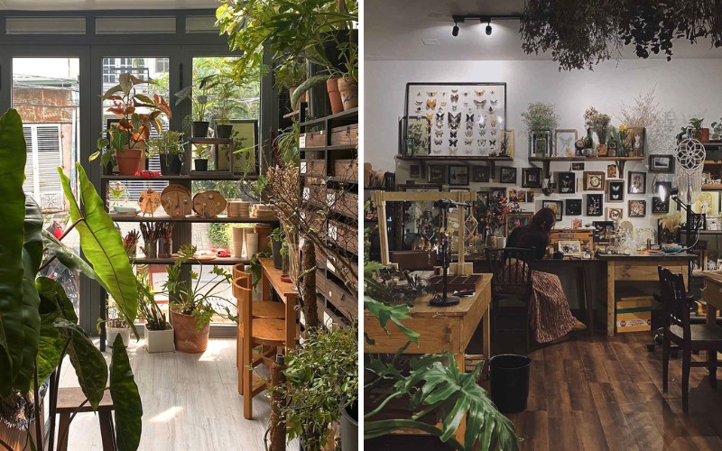 Tiệm Lưu Giữ Ký Ức