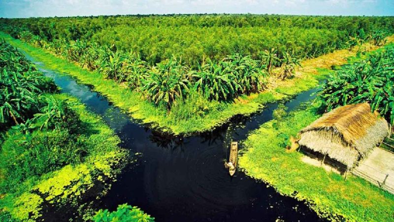 Cảnh quang vườn Quốc gia U Minh Thượng