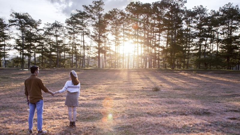 Di chuyển đến đồi cỏ hồng khu Thung Lũng Vàng