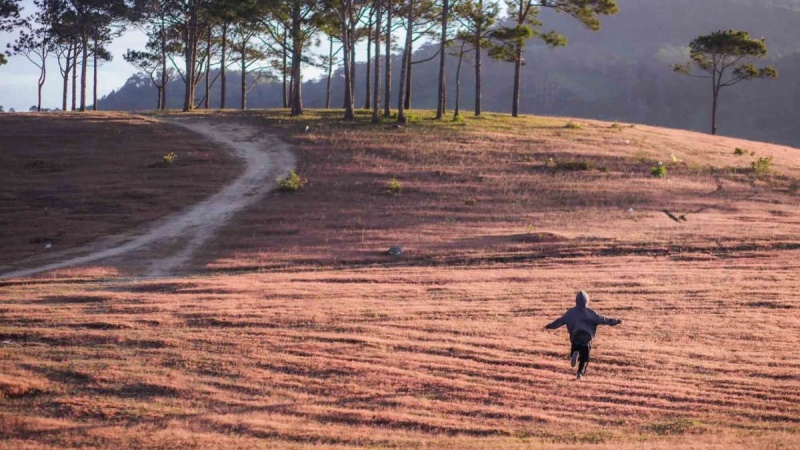 Đi tự túc hay đặt tour