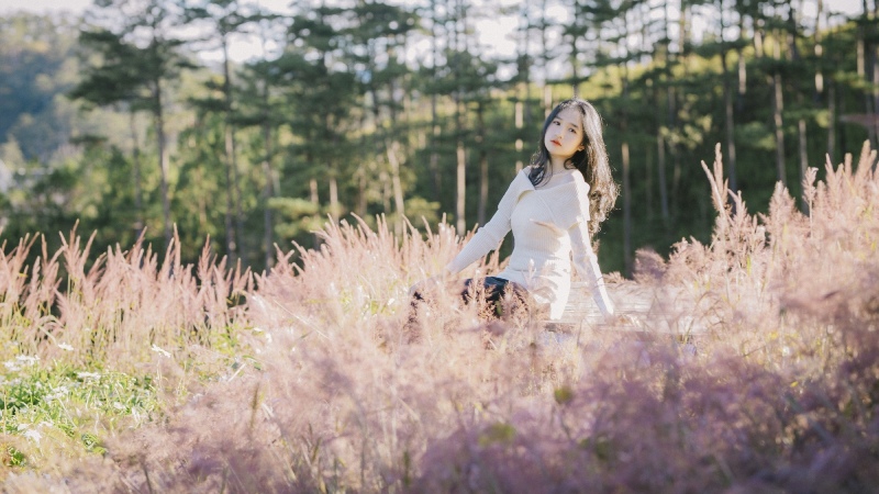 Check in với background đẹp nên thơ