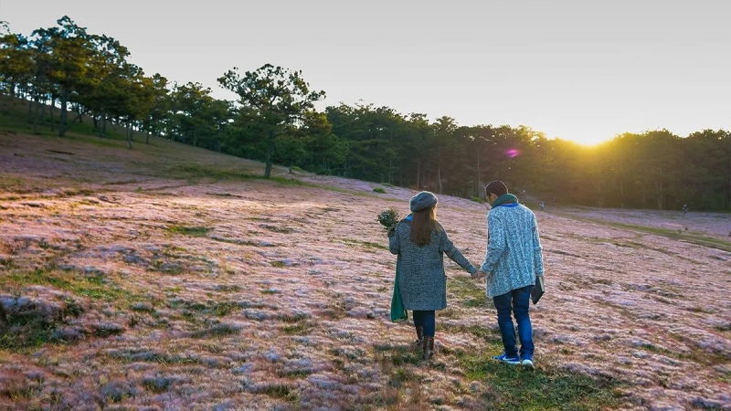 Tham quan, ngắm cảnh xung quanh