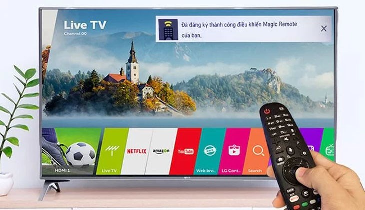 Do sử dụng các nút tinh chỉnh làm mất trỏ chuột