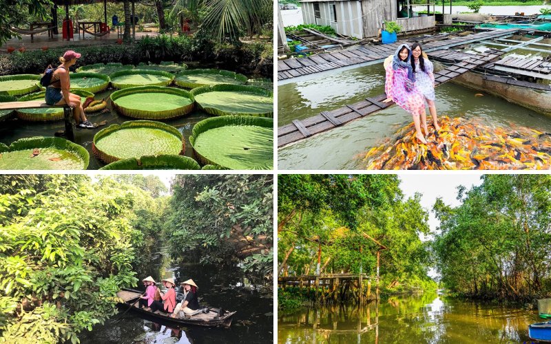 Chơi với cá ở Cồn Sơn