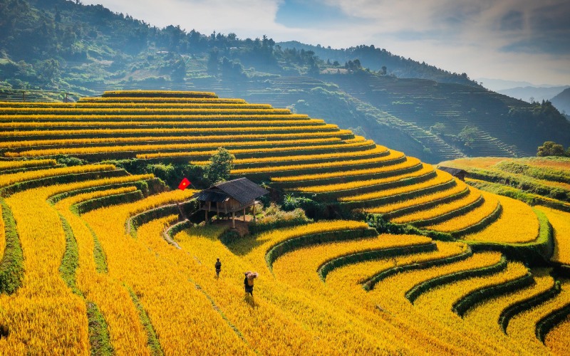 Tháng 10 - Mùa vàng ở Mù Cang Chải