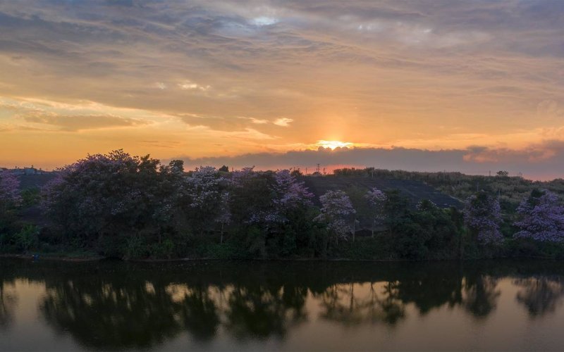 Vẻ đẹp nên thơ của hồ Nam Phương