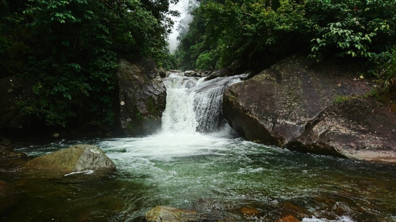 Những con suối róc rách cùng những vườn thuốc quý tô điểm cho khung cảnh thiên nhiên hoang sơ