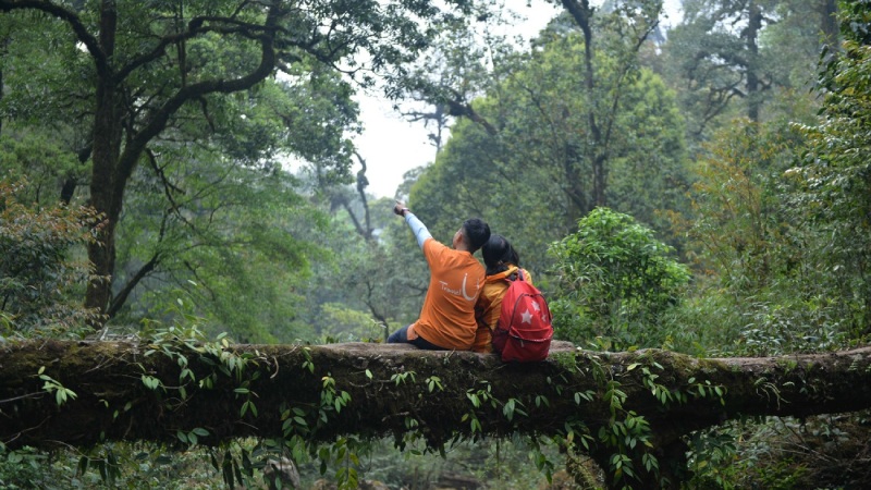 Con đường mòn dẫn lối du khách qua những dốc sỏi gập ghềnh, ẩn khuất dưới tán cây cổ thụ rợp bóng rêu phong