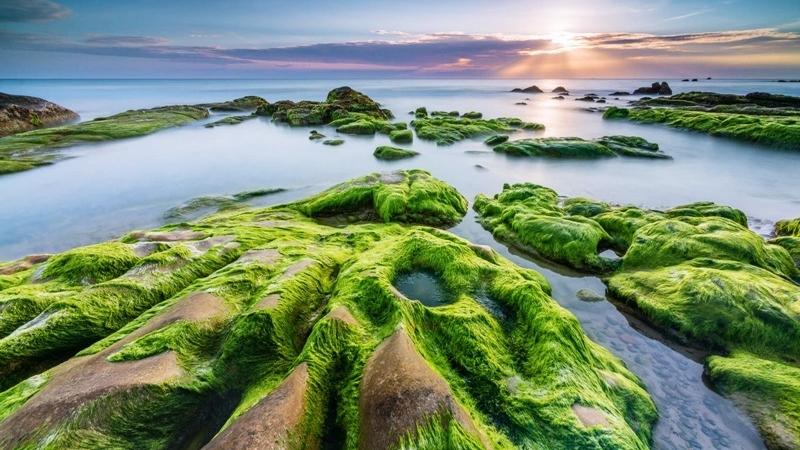 Bãi rạn Nam Ô - Đà Nẵng