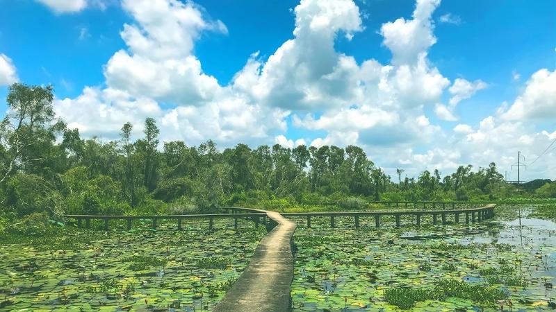 Làng nổi Tân Lập