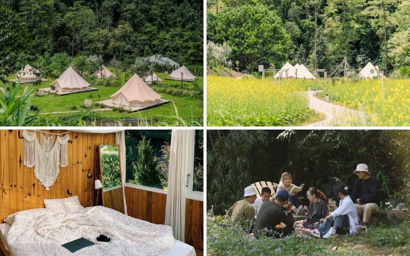 DalatCamp tọa lạc tại một thung lũng thơ mộng, được bao quanh bởi tiếng suối reo vui nhộn